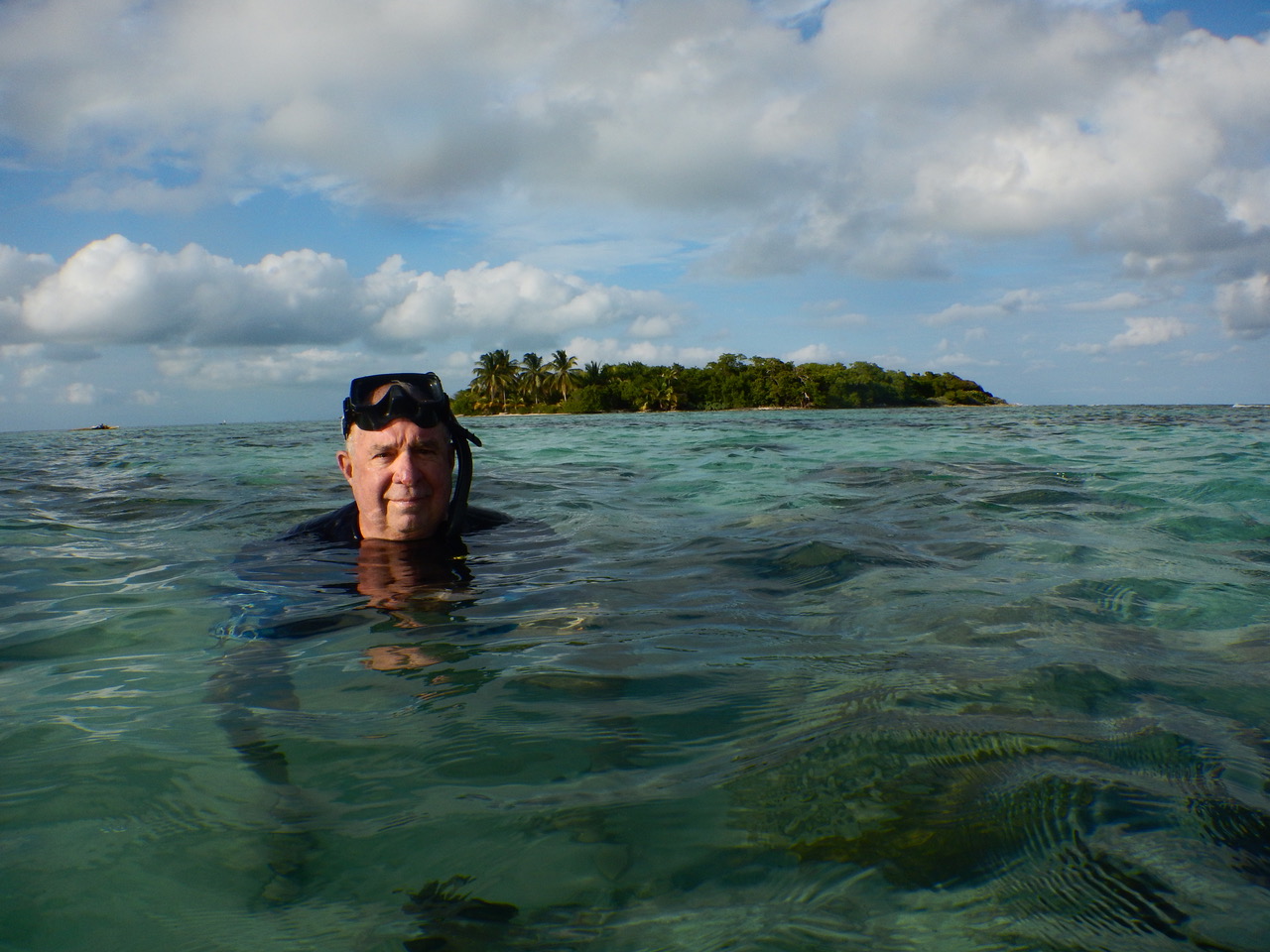 Increasing blooms of seaweeds in the Belize Barrier Reef in recent decades.