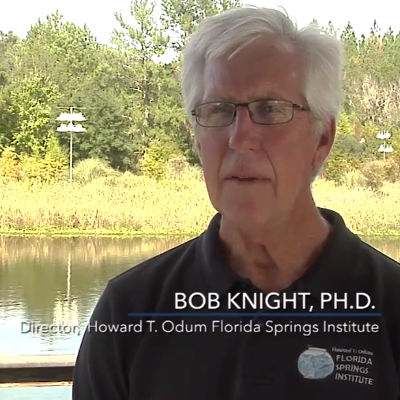 Video Spotlight: Florida Chamber of Commerce: Florida Springs