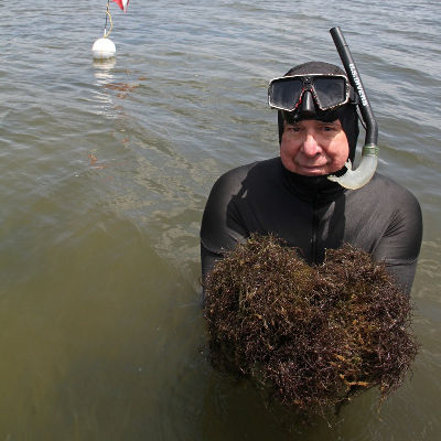 Informed Infrastucture: Sewage Pollution a Culprit in Indian River Lagoon