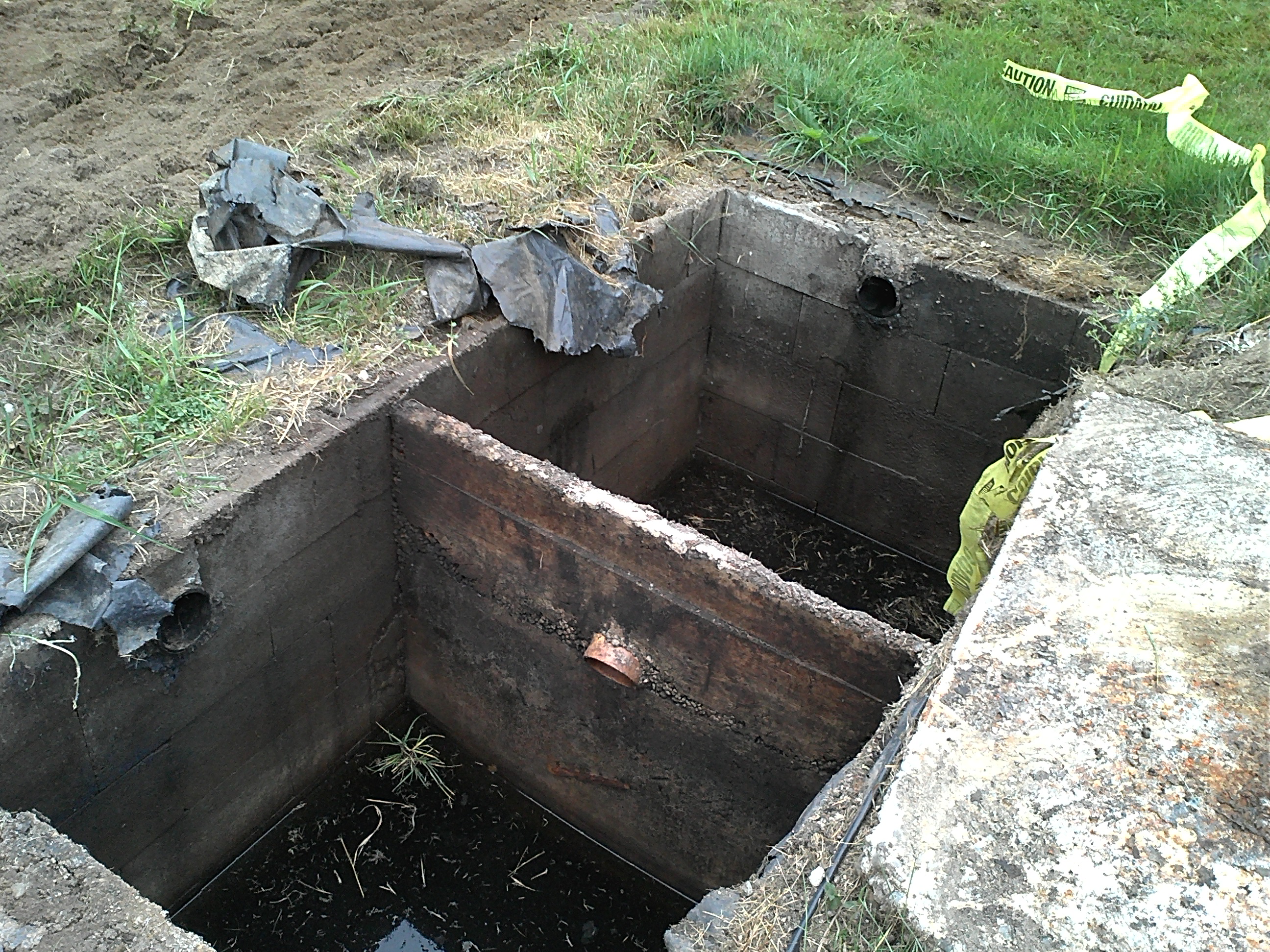 The Florida Nitrogen Cycle